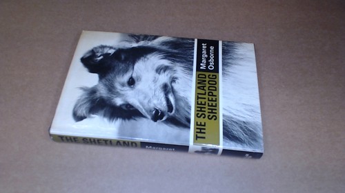 The shetland sheepdog - the,