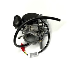 CM129208 OEM Carburetor for