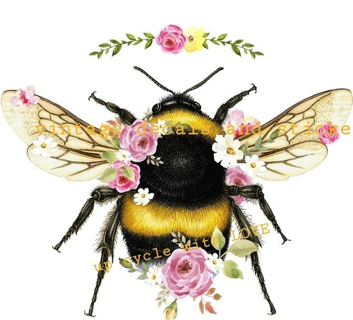 Furniture decal transfer - decal, image