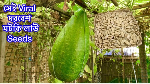 Saller bangladeshi bottle - bangladeshi,