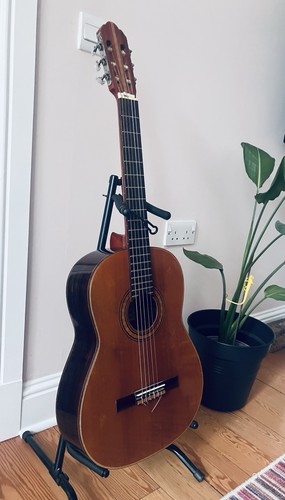Antoria vintage acoustic - vintage,