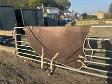Shires tempest 200 Medium