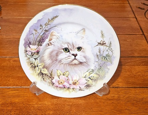 Vintage white persian cat - vintage,