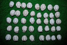 40 antique German small frozen