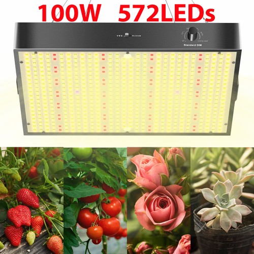100w 200w led - 100w, light