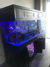 300+ Gallon Acrylic aquarium