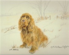 Sussex spaniel print - sussex,