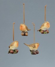 Christmas Festive  Robins on