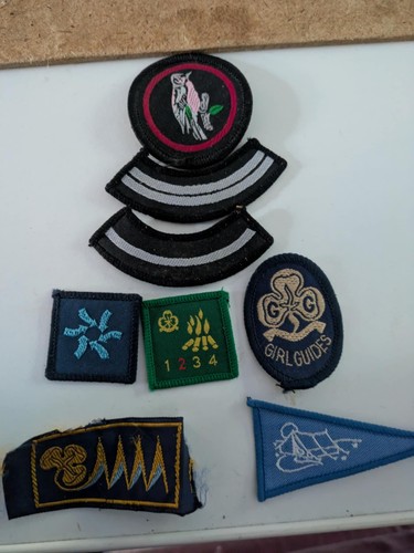 Guide badges service flash - 8,