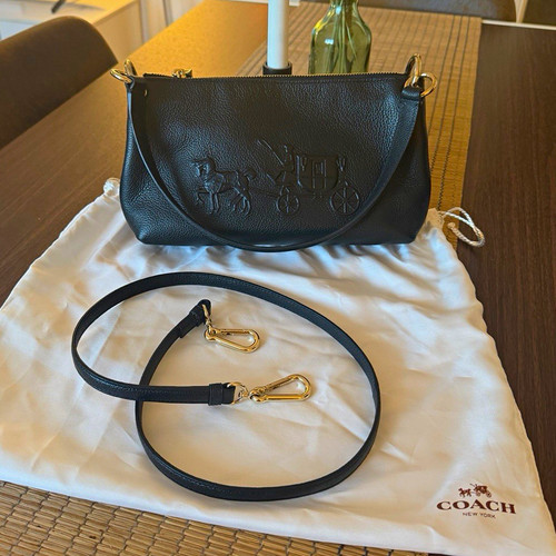 Coach horse and carriage black - coach,