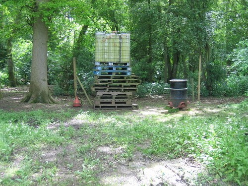 Pheasant feeder fox - fox, covert