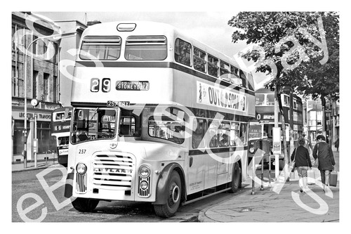 Bus photograph leicester t - photograph,