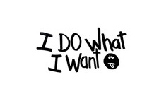 I DO WHAT I WANT  Car Van EV