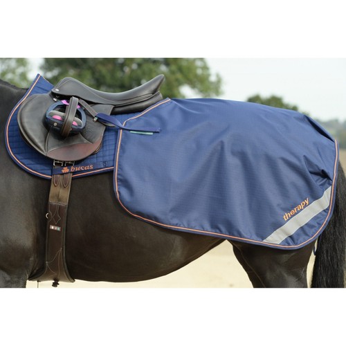 Bucas therapy quarter sheet - bucas,