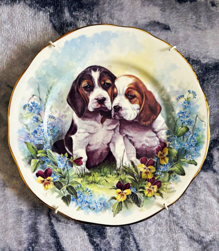 Bone china decorative plate - bone,