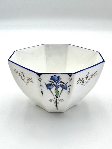 Shelley blue iris - shelley,