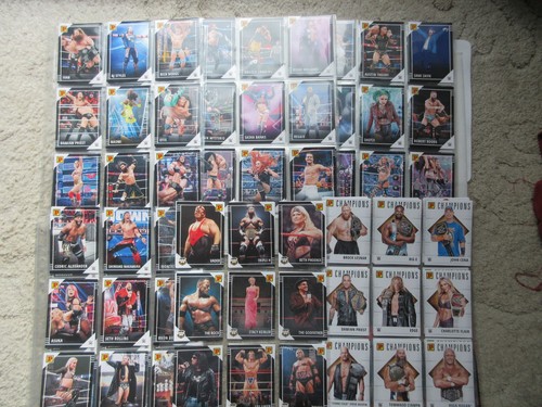 Panini wwe wrestling - panini,