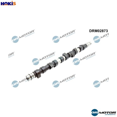 Camshaft drm02873 for - camshaft,