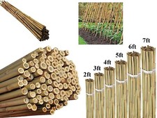 Bamboo Canes Strong Thick