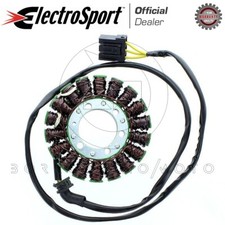 Stator Magnet Flywheel Coil