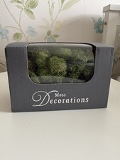 Reindeer Moss Dark Green Box