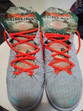 Nike diana taurasi lebron 18 - x,