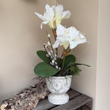 New 2 Stem White Amaryllis