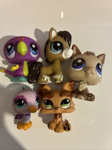 Littlest pet shop - shop, 5