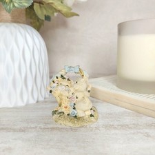 Calico Kittens In Floral