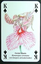 1 x playing card Insects Spiders – Orchid Mantis – King of Clubs Q81