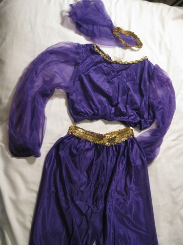 Purple fashion harem girl - purple,