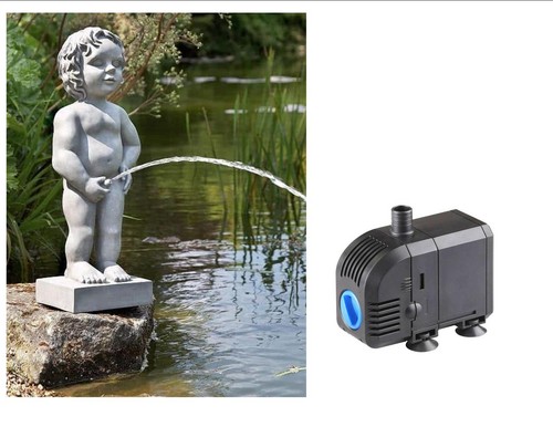 Classic belgian boy - belgian, pond