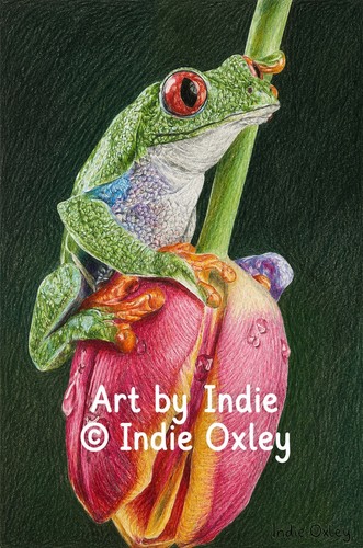 Frog tulip print coloured - on,