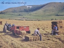 The White Horse, Westbury, Wiltshire,Vintage Postcard