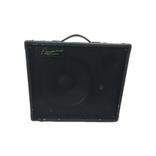 Bergantino AE112 Bass Guitar