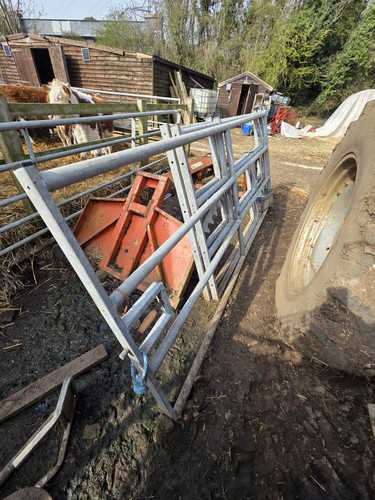 10ft cattle yard gate - 10ft,
