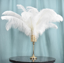 10pc Big White Ostrich