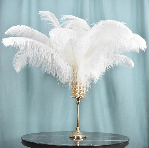 10pc big white - big, ostrich