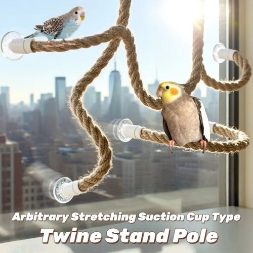 Diy bendable parrot - diy, perch