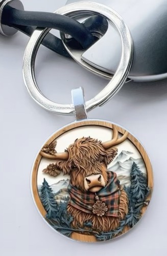 Scottish highland cow stunning - cow,