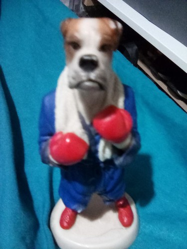 Bundle items boxer bull - boxer,