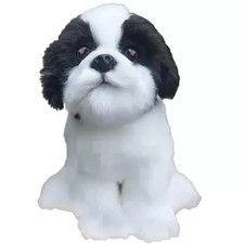Black and White Shih Tzu Dog