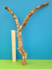 Cork bark branch - bark,