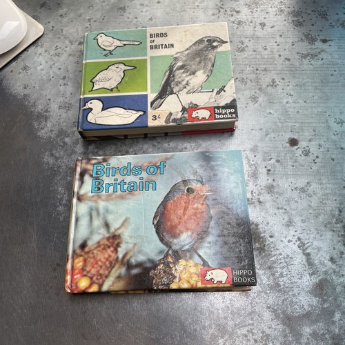 Birds britain maurice - –,
