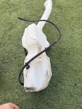 FIAT 500 MK3 312 Windscreen