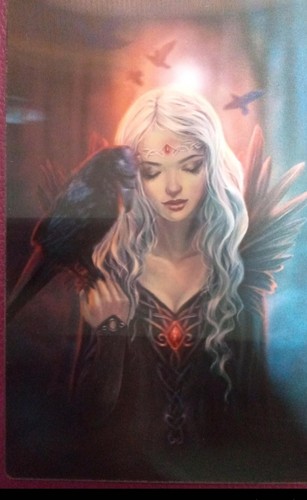 Ravenkin postcard selina - postcard,,