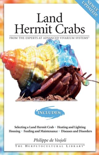 Land hermit crabs philippe - land,