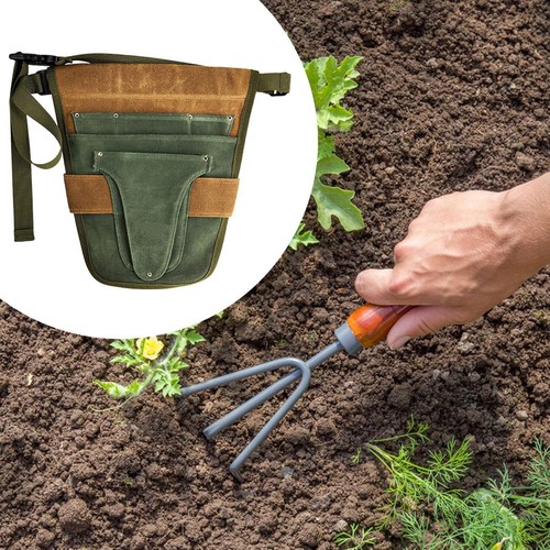 Garden tool belt gardening - garden,
