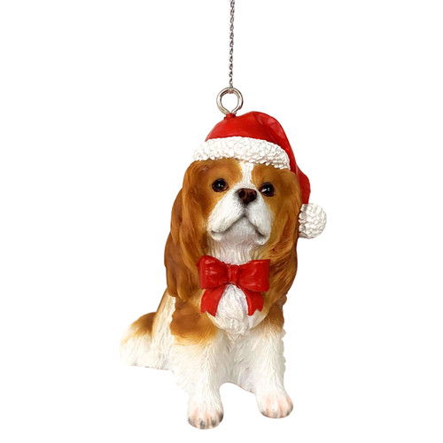 Cavalier king charles spaniel - king,