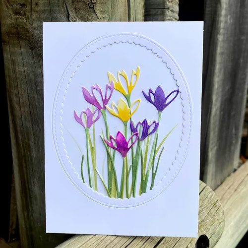 Crocus snowdrop flowers with - snowdrop,